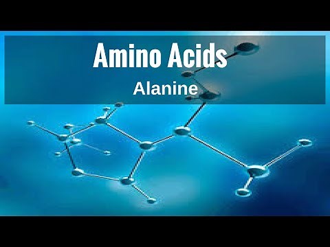 Amino Acids - Alanine