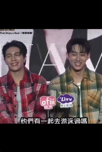 Adorable Moments of Swimming Dogs Captured