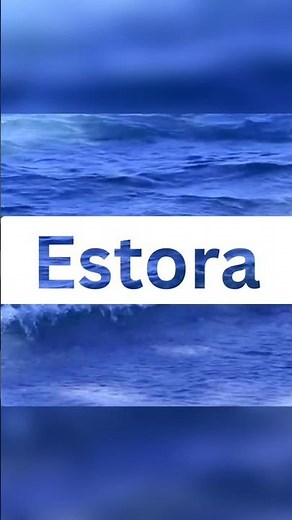 How to Make Your Canva Designs LOOK BETTER