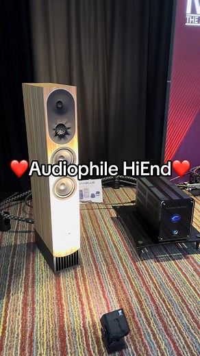 Audiophile Hi-End Home Stereo Sound System Setup