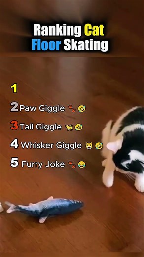 Ranking Cat Floor Skating 🤣🐱 Sliding Cats || #catshorts #funnycats @PawPals3
