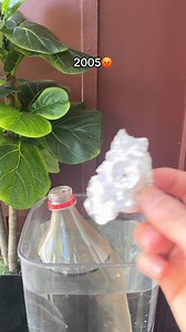 Same powerful and efficient gravity pulls, now in an elegant glass setup ✨ | Gallant Gravity