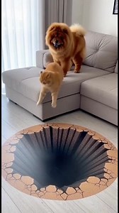 12K views · 131 reactions | Chowchow pulls a prank with a 3D abyss rug ️Oyen gets pushed, thinks it’s a real hole, screams like his life just ended.Chowchow? Standing there proud like: “Worth it.” #chowchowshowai #dog #cat | Chowchowshow AI | Facebook