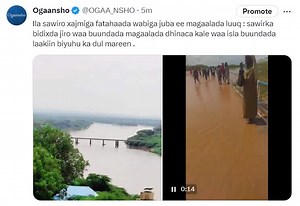 2.9K views · 187 reactions | Ogaansho on Reels | Facebook