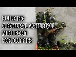 Building a Natural Waterfall Mini Pond for Guppies | Relaxing Nature Design at Home #minipond #guppy