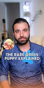 A green puppy? It’s rare, it’s harmless and it’s nature being wild again. 💚🐶 Tiny miracles come in unexpected colors #DrAliChoukeir #whitehousevetcliniclb #lebanon Link in bio! ‌ جرو أخضر؟ إي… والطبيعة أوقات بتحب تعمل مفاجآت! 💚🐶 المهم صحته، مش لونو. دكتور_علي_شقير #تيضل_بخير | Dr Ali Choukeir