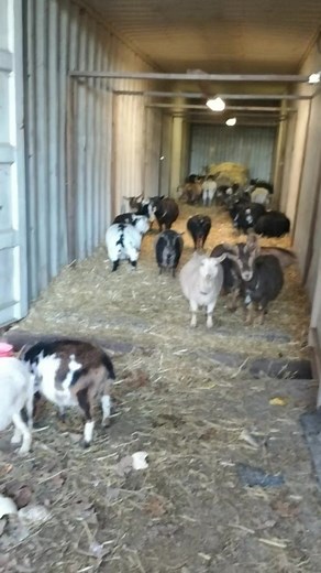 12 reactions | Roger Pottorff on Reels | Facebook