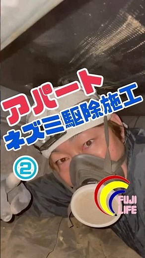 アパートネズミ駆除施工〜床下粘着トラップ編その2～#横浜の害虫駆除屋さん #ネズミ #閉塞 #粘着トラップ #駆除 #ハウスメーカー #床下 #アパート