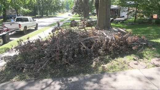 City of Springfield provides update on storm debris pickup