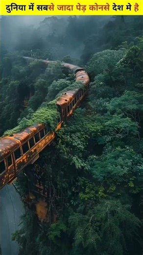 tree facts || #facts #trending #fact_myth #shorts