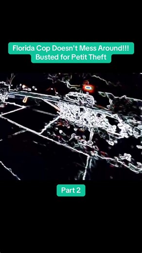 Cops Body Cam on TikTok