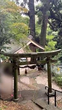 神龍八大龍王神社/ここはすごい! 最強パワースポット❗️