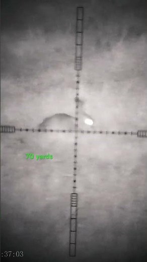 Rabbit shooting 17hmr