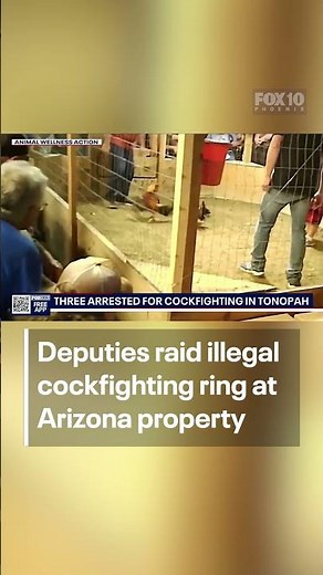 Cockfighting ring busted at Arizona property, 3 arrested so far | FOX 10 Phoenix