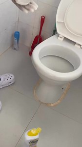 3K views · 16 reactions | Promaid Cleaning Service Ltd disinfecting a toilet after cleaning it. This ensures a germ-free zone. Book a pro maid now for an all-round service  www.thepromaid.com | Lynx Lungu | Facebook