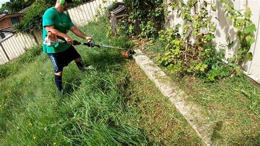 Mowing tall grass overgrown yard gets a huge cleanup