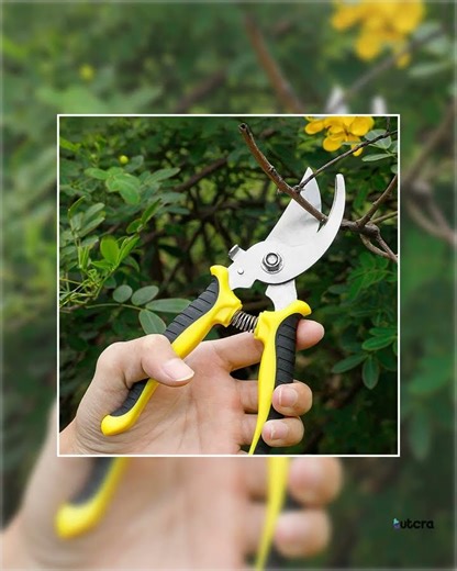 Professional Bypass Pruning Shears