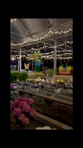 ✨What is “The Night Before Spring Opening”? Last year for the first time, we opened up our greenhouse and gift shop for a spring preview evening shopping event under the lights! Our greenhouse was transformed with hundreds of twinkle lights for you to experience in a fun unique way. It was a great success and we are excited to share it with you again on the evening of Friday, March 28th. In the coming weeks look for more details about what the evening will entail this year as well as a look at o