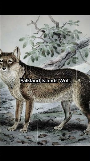 Extinct Animals That Were Friendly #fypage #shorts #extinct