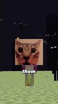 Ender Dragon with 3 heads in minecraft !