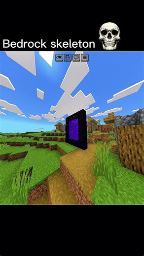 Java Skeleton Vs Bedrock Skeleton...☠️