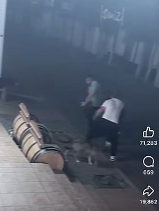 🤣🤣🤣 | Dj Robert Original