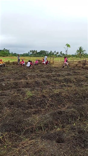 Tupad Beneficiary gardening #highlightseveryone #highlightseveryone