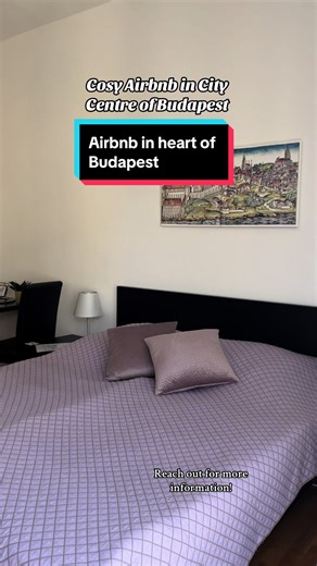 Are you looking yo stay in airbnb in Budapest? This apartment has a central location as sutibale for 3 people. The sofa bed can be made for the third guest. It has air conditioning which is important for the summer months. Has small kitchenette which is great for small coffee in the morning. Bathroom shower has been newly renovated. It is close to 100E shuttle bus stops to and from the airport. Because of its central location you will be able to find the St. Stephens Basilica close by and many g