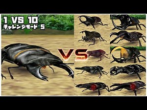 甲虫王者ムシキング - 1 VS 10 チャレンジモード5 - アルキデスオオヒラタクワガタ｜Mushiking