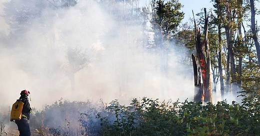 Sutjeska National Park wildfire: Serbian MUP helicopters not allowed to help put the blaze out?
