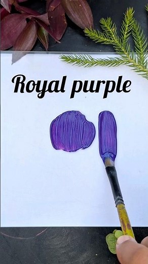 How to get royal purple colour by acrylics | acrylic colour mixing for royal purple #royal #purple