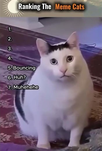 meme #memes #cool #fyp