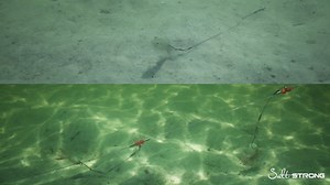 16K views · 173 reactions | Check out these tips for the BEST overall rig for inshore fishing! For more awesome saltwater fishing tips go to https://www.saltstrong.com/fishing-tips/ | Salt Strong | Facebook