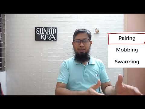 What is Pairing? Swarming? and Mobbing? How are they different than each other?