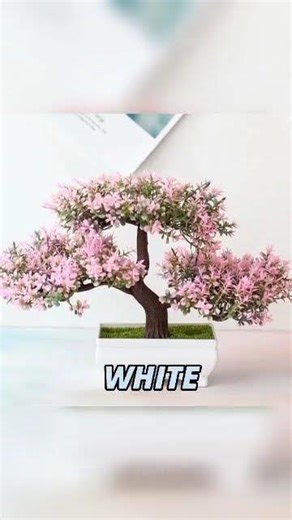 I Bought an Artificial Plant and It Fooled Everyone 🌿