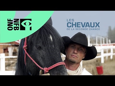 LES CHEVAUX DE LA SECONDE | Documentaire complet | Office national du film du Canada