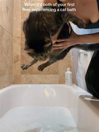 Funny Cat Hates Bath Time! 😂