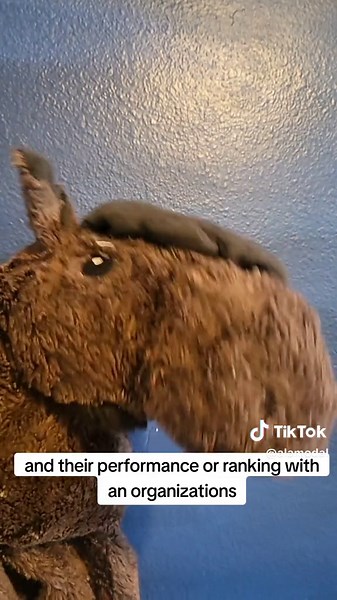 Decoding the Secrets of Rich People: Exposing Wealth Discrimination