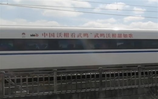 G1501（上海虹桥-南宁东）CRH380A-2695