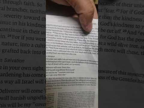 Romans 11:11-24( Gentiles Grafted In)