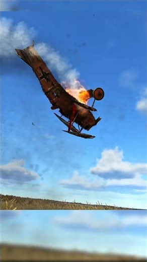 How I think the Red Baron died 😢 #warthunder #warthundermemes #warthundermoments #warthunderplanes
