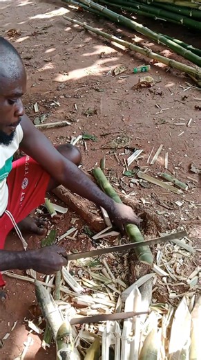 6.2K views · 24 reactions | trap making step 1. Part 1 | Emi Peter Ikemba | Facebook