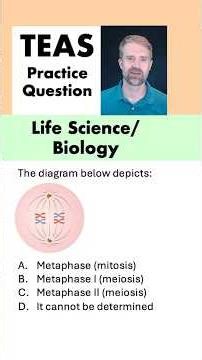ATI TEAS 7 Life Science: Mitosis Meiosis Practice Question #atiteas