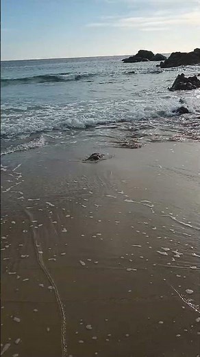 Spiaggia di Cala Cipolla, Domus de Maria, Chia, Sardinia