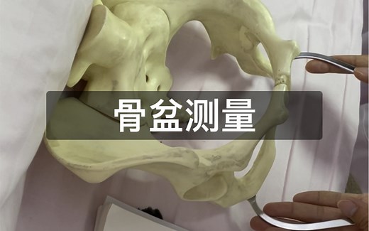 妇科护理学实践操作（骨盆测量）