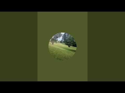 Isolde Schuler está ao vivo! dia lindo