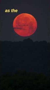 Trumpet 4 Sounds | Heavenly Lights Darkened