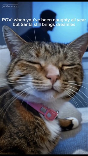 The relief #christmas #santa #cat #funny #dreamies