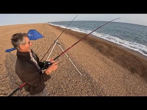 Chesil Beach Overnight Session 🔥🔥🔥 Seven Species Abbotsbury. Sea Fishing The UK Shore.