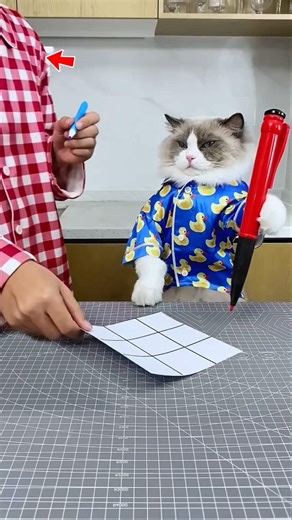 Soniya Is Cheating In The Tik Tak Toe Game 🤣😁🥳